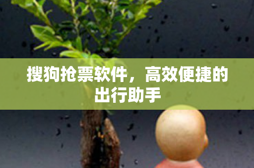 高效便捷的出行助手图片