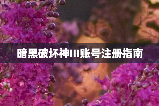 暗黑破坏神III账号注册指南图片