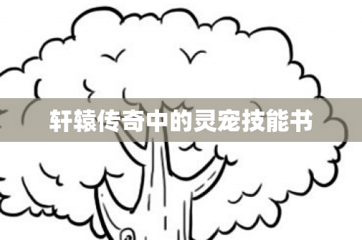 轩辕传奇中的灵宠技能书图片