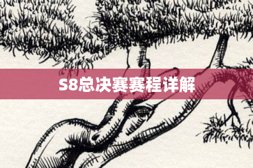 S8总决赛赛程详解图片