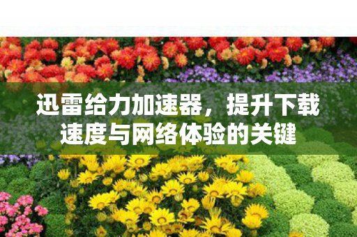 提升下载速度与网络体验的关键图片
