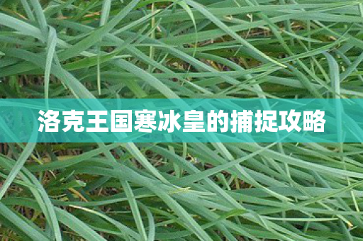 洛克王国寒冰皇的捕捉攻略图片
