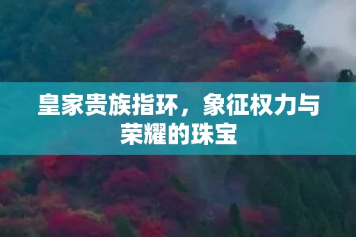 象征权力与荣耀的珠宝图片