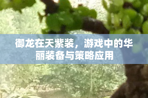 游戏中的华丽装备与策略应用图片