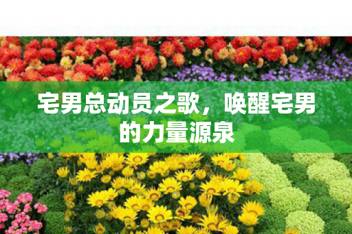 唤醒宅男的力量源泉图片