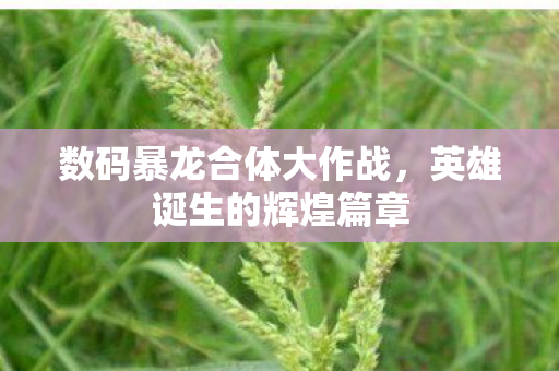 数码暴龙合体大作战图片