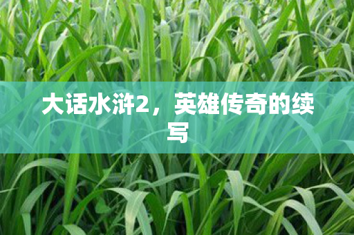英雄传奇的续写图片
