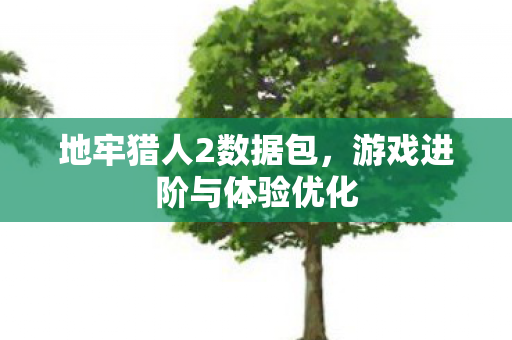 游戏进阶与体验优化图片