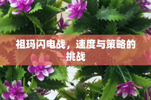 速度与策略的挑战图片