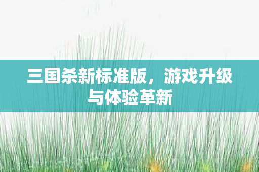 游戏升级与体验革新图片