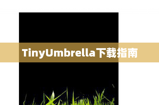 TinyUmbrella下载指南图片