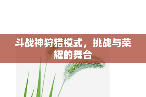 挑战与荣耀的舞台图片