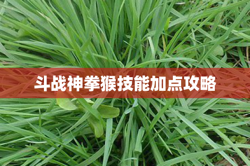 斗战神拳猴技能加点攻略图片