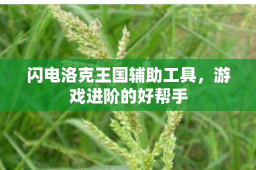 闪电洛克王国辅助工具图片