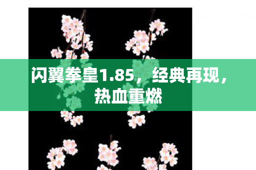 闪翼拳皇1图片