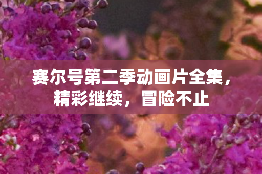 赛尔号第二季动画片全集图片