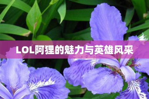 LOL阿狸的魅力与英雄风采图片