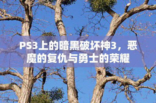 PS3上的暗黑破坏神3图片