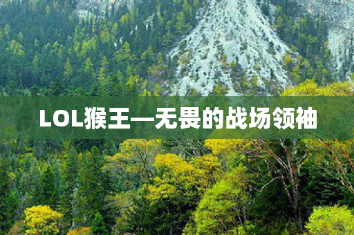 无畏的战场领袖图片