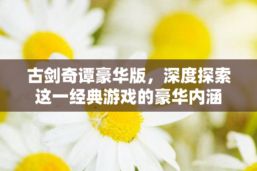 深度探索这一经典游戏的豪华内涵图片