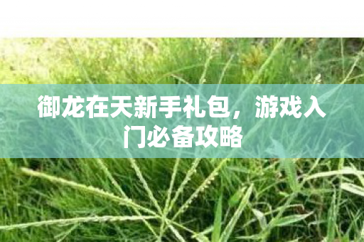 御龙在天新手礼包图片