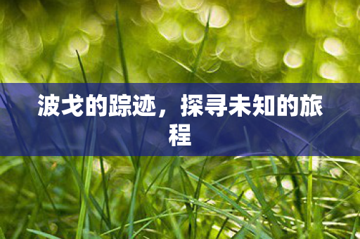 探寻未知的旅程图片