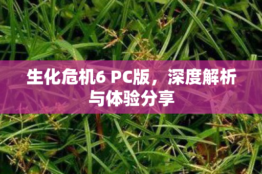 生化危机6 PC版图片