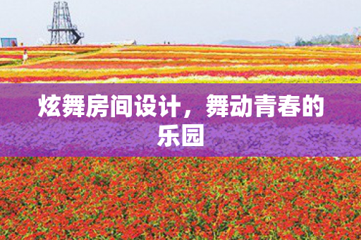 舞动青春的乐园图片