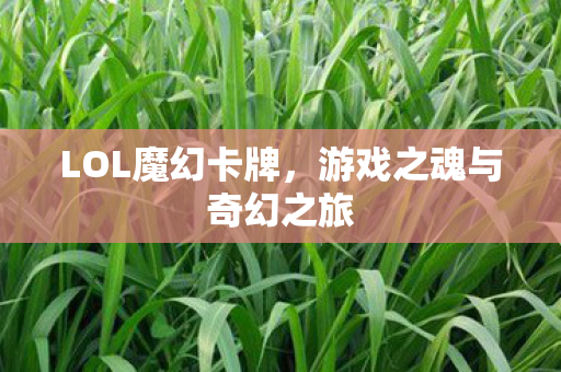 游戏之魂与奇幻之旅图片