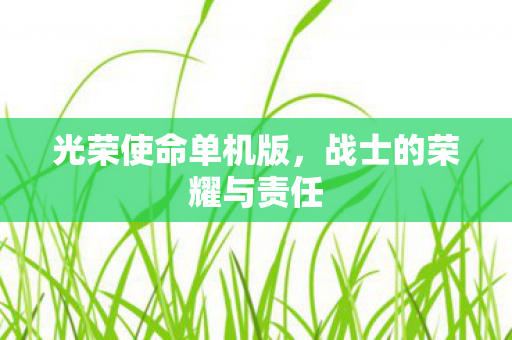 战士的荣耀与责任图片