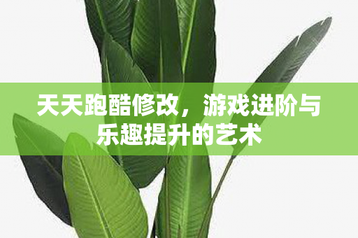 游戏进阶与乐趣提升的艺术图片