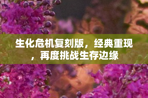 再度挑战生存边缘图片