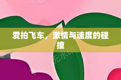 激情与速度的碰撞图片