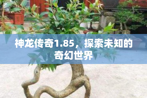 探索未知的奇幻世界图片