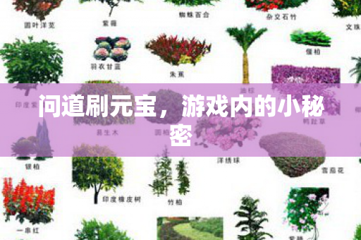 游戏内的小秘密图片