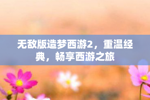 无敌版造梦西游2图片