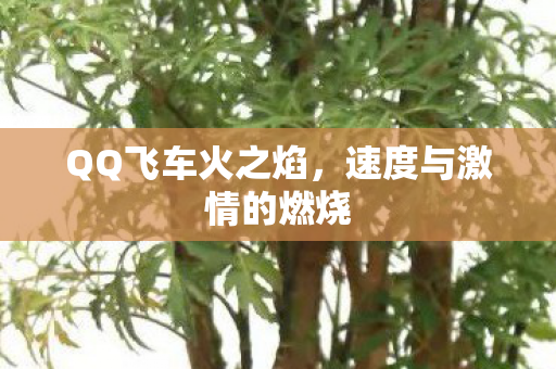 速度与激情的燃烧图片