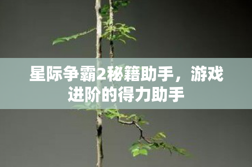星际争霸2秘籍助手图片