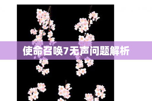 使命召唤7无声问题解析图片