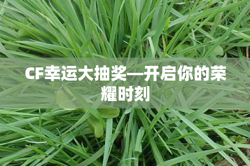 开启你的荣耀时刻图片