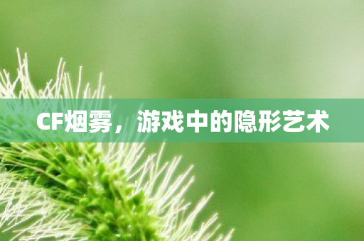 游戏中的隐形艺术图片