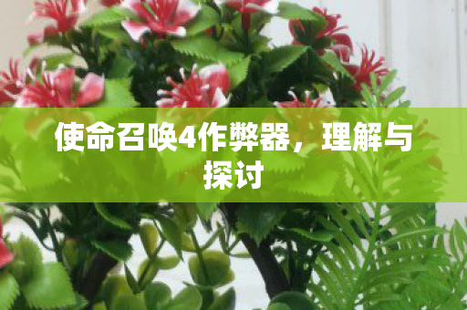 使命召唤4作弊器图片