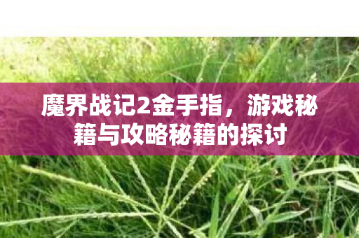游戏秘籍与攻略秘籍的探讨图片