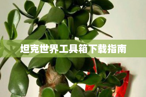 坦克世界工具箱下载指南图片