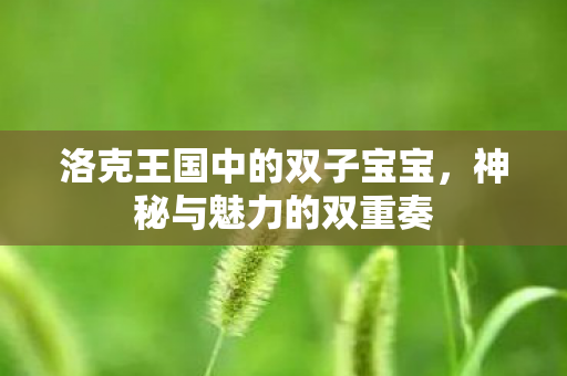 洛克王国中的双子宝宝图片