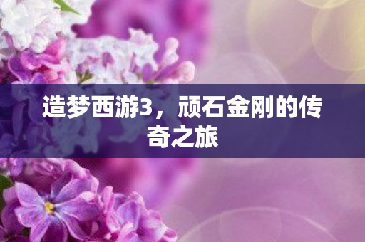 顽石金刚的传奇之旅图片