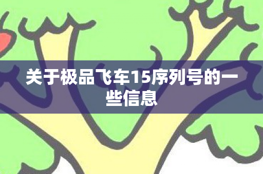 关于极品飞车15序列号的一些信息图片