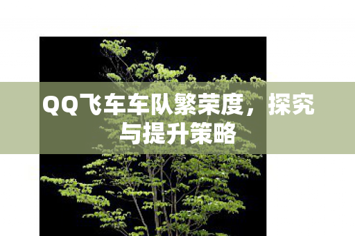 QQ飞车车队繁荣度图片