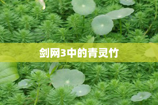 剑网3中的青灵竹图片