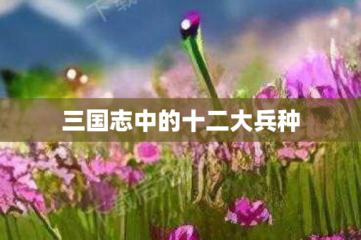 三国志中的十二大兵种图片
